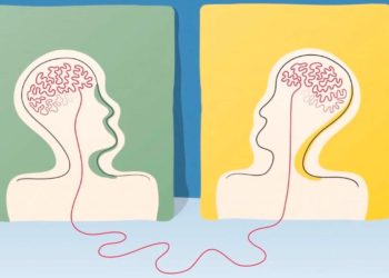 Conceito de senso comum