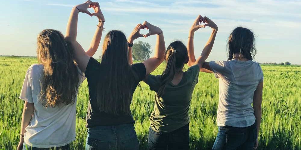 BFF o que é, significado, definição e conceito