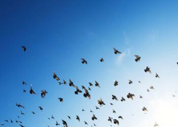 Exemplos de valores morais